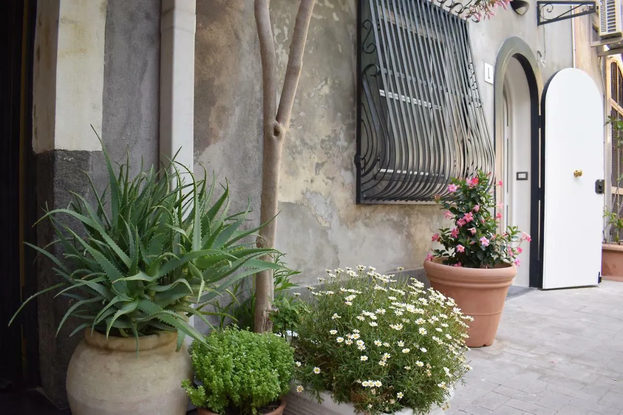 Camula Inn Apartament Κατάνια